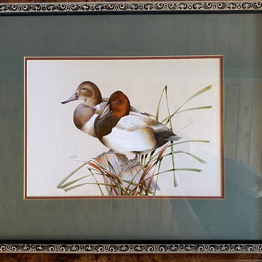 Art La May 3x framed prints with glass: Water Pair, Green Winged, Canvas Back.